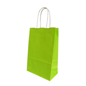 Draagtas appelgroen 10x30+22cm (1x)